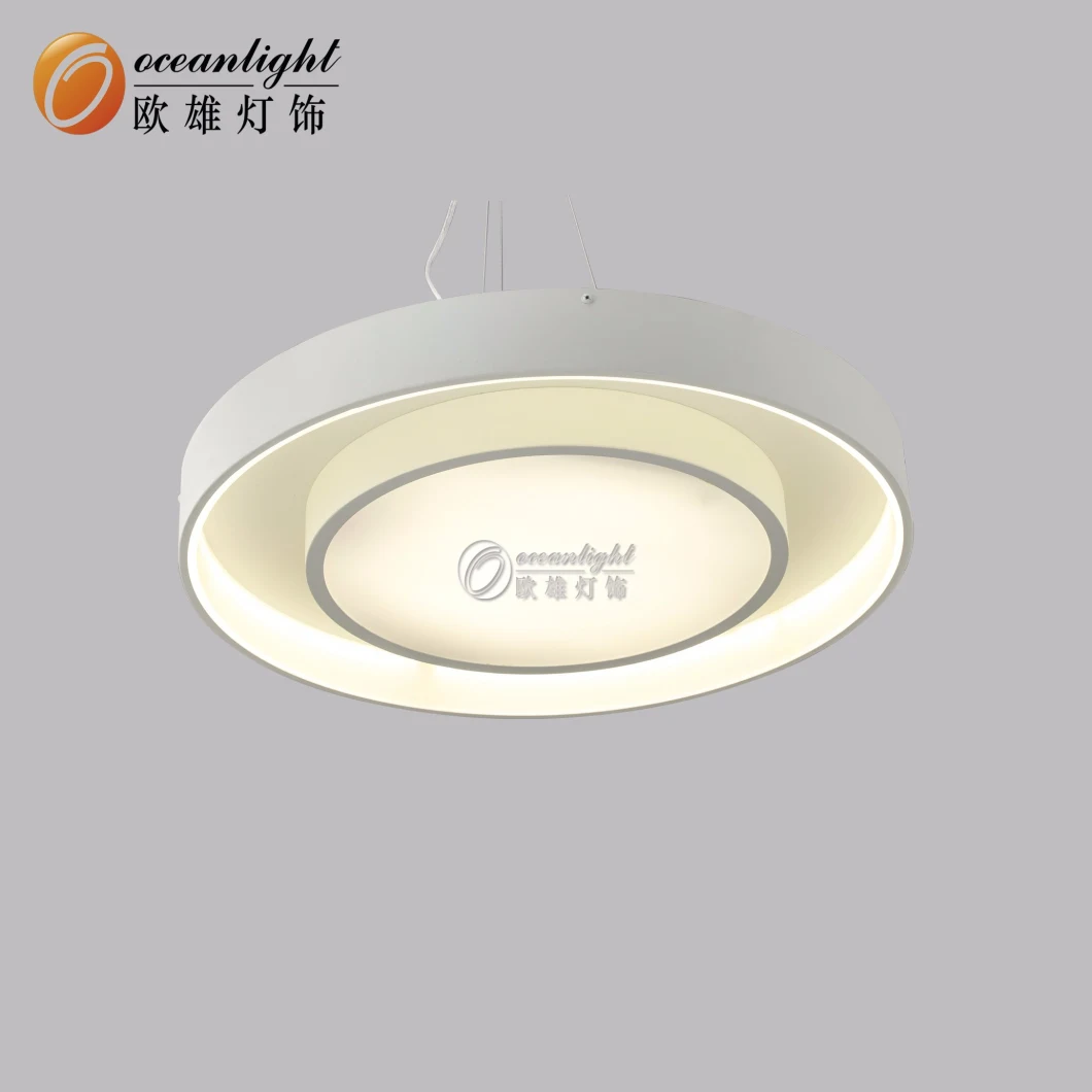 Hot Sale Acrylic Ceiling Decorative Pendant Lighting (OM1110)